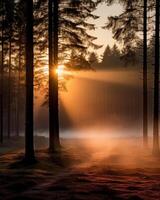 mistico foresta paesaggio con sole raggi penetrante attraverso mattina nebbia foto