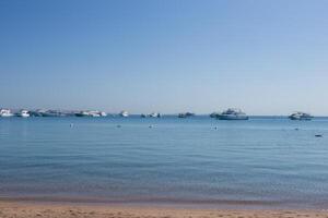 spiaggia rilassamento a il rosso mare. fiaba momenti di un' soleggiato giorno. il concetto di turismo e mare viaggio foto