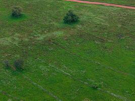 pascolo la zona con contorno Linee nel campo foto