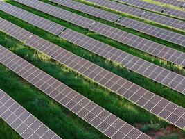 solare energia pianta nel rurale la zona foto