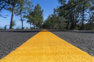 giallo linea su strada con pino alberi e blu cielo. foto