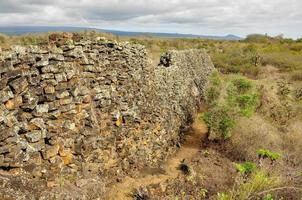 il muro delle lacrime, isola di isabela, galapagos, ecuador foto