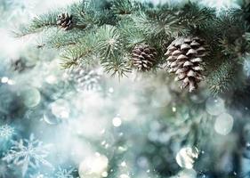 ramo di abete con pigna e fiocchi di neve foto