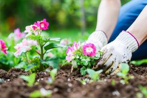 giardiniere piantare brillantemente colorato fiori nel un' vivace giardino durante primavera foto