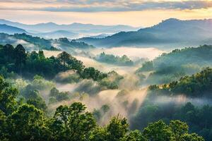 nebbioso mattina al di sopra di verdeggiante foreste colline a Alba foto
