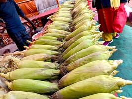 fresco Mais su il pannocchia per vendita a un' agricoltori mercato foto