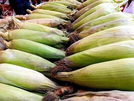 fresco Mais su il pannocchia per vendita a un' agricoltori mercato foto