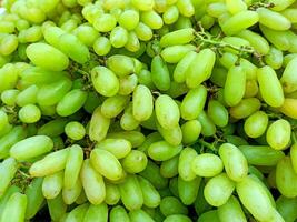 pieno telaio di verde uva sfondo sfondo. uva agricolo concetto. foto