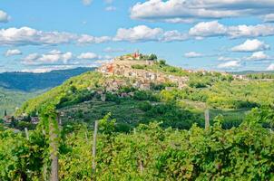 Visualizza di il affascinante villaggio motovun nel istria, Croazia. famoso posto per rurale turismo nel Croazia. foto