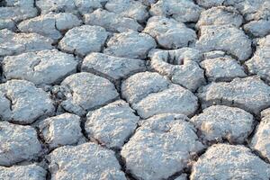 essiccato terreno, strutturato crepe nel arido suolo. foto