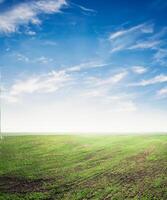 fresco verde erba con cielo sfondo. foto