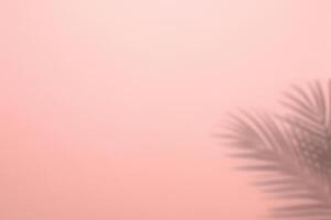 tropicale ombre, palma le foglie staglia contro rosa parete sfondo. foto