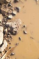 macro fotografia di pozzanghera di acqua su sabbia e pietra strada foto