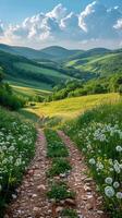 il sole splendente al di sopra di un' campo di erba foto