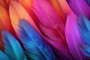 arcobaleno colorato soffice ara piume sfondo, piume sfondo, colorato piume sfondo, ara uccello piume modello, foto