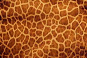 giraffa pelle struttura, giraffa pelle sfondo, giraffa pelle modello, giraffa pelle digitale carta, animale pelle struttura, giraffa Stampa, animale Stampa modello, foto