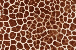 giraffa pelle pelliccia struttura, giraffa pelliccia sfondo, soffice giraffa pelle pelliccia struttura, giraffa pelle pelliccia modello, animale pelle pelliccia struttura, giraffa Stampa, foto