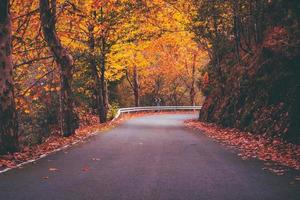 le strade d'autunno cadono foto