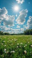 il sole splendente al di sopra di un' campo di erba foto