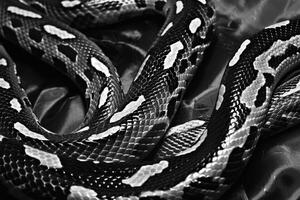 ai generato nero e bianca sfondo nel serpente modello stile foto