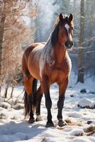 un' cavallo è in piedi nel il neve foto