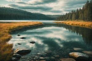 un' lago circondato di alberi e erba a Alba foto