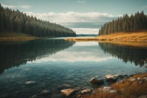 un' sentiero conduce per un' lago circondato di alberi foto