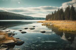 un' fiume nel il foresta con alberi e nebbia foto