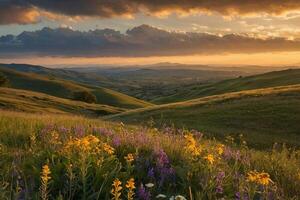 fiori selvatici e montagne a tramonto foto