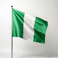 Nigeria bandiera su bianca sfondo foto