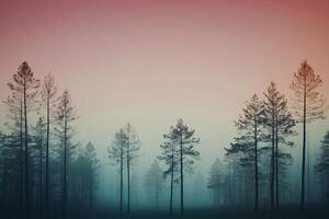 un' foresta con alberi e nebbia nel il sfondo foto