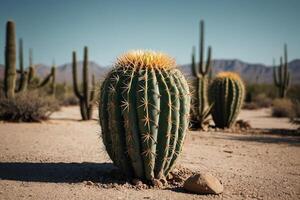 un' cactus pianta è mostrato nel davanti di un' grigio parete foto