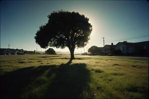 un' solitario albero nel il mezzo di un' erboso campo foto