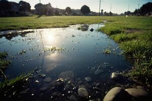 un' pozzanghera di acqua nel un' erboso campo foto