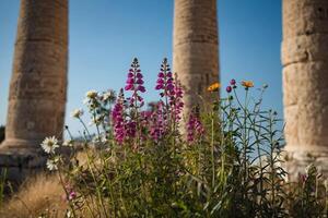 il colonne di il tempio di rhea nel Gerusalemme foto