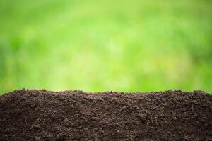 suolo contro il sfondo di sfocato impianti, mucchio di fertile terra foto