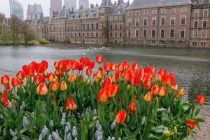 il città di tana haag nel Olanda foto