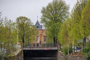 tana haag nel il Olanda foto