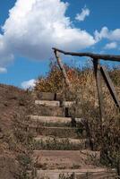 vecchio stretto di legno le scale principale su tra il erba nel il ucraino campagna nel tempo di caduta. foto