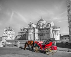 carrozza con cavallo foto