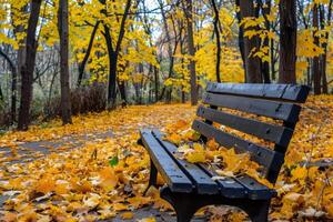 vuoto bagnato panchina su un' sentiero foderato con autunno le foglie foto