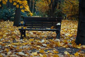 parco panchina circondato di caduto autunno le foglie foto