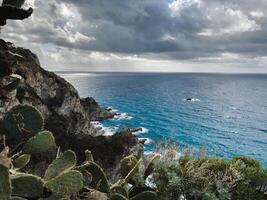 oceano paesaggio marino sotto nuvoloso giorno foto