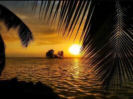 arte bellissimo tramonto al di sopra di il tropicale spiaggia foto