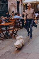 Venezia, italia-aprile 2, 2023. anziano uomo godendo tempo al di fuori con un' animale domestico cane, foto