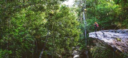 fotografo asiatico donne in viaggio fotografia natura. viaggio rilassare nel il vacanza camminare nel il foresta. viaggio rilassare nel il vacanza. Tailandia foto