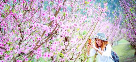 donna asiatica viaggio natura. viaggiare rilassati. fotografato in un giardino fiorito. foto