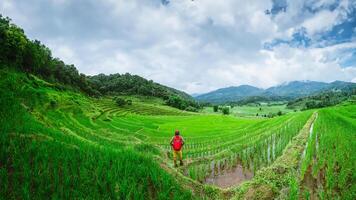 asiatico uomo viaggio natura viaggio rilassare a piedi riso campo nel piovoso stagione nel chiang mai, Tailandia. foto