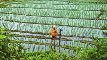 natura di viaggio donna asiatica. viaggiare rilassati. camminando scatta una foto sul campo. in estate.