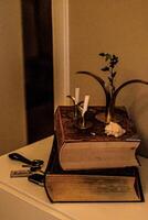Vintage ▾ libro candela In piedi foto
